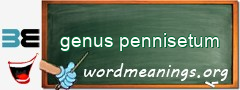 WordMeaning blackboard for genus pennisetum